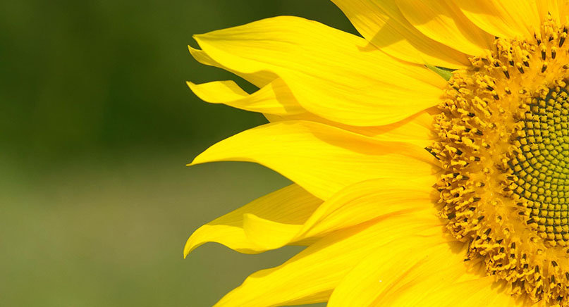 價(jià)位合理化，產(chǎn)品高標(biāo)準(zhǔn)